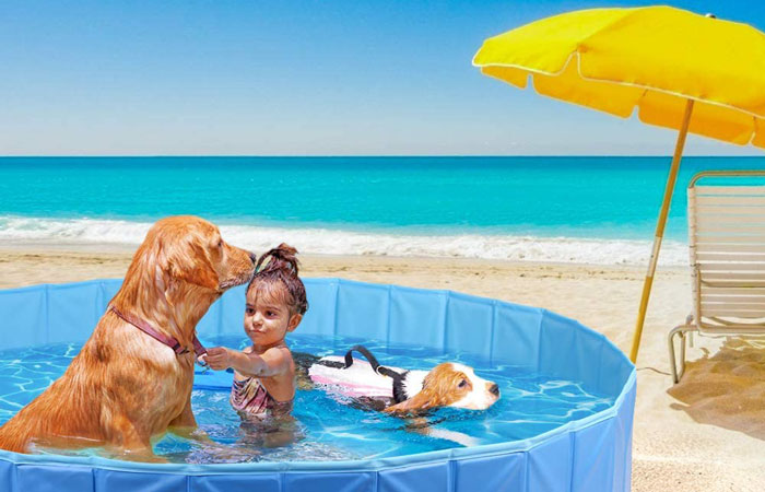 migliori-piscine-cani-amazon
